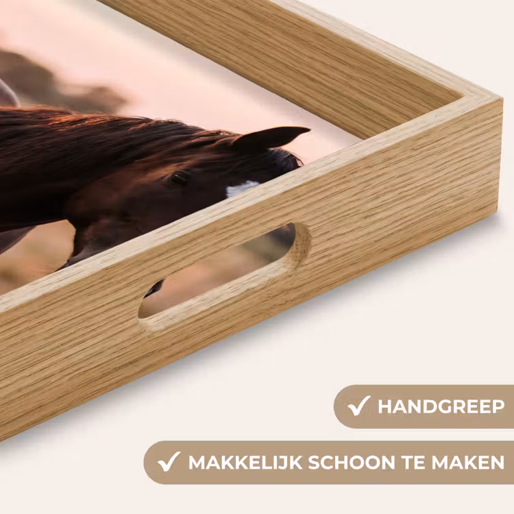 Dienblad - Paard - Zonsondergang - Bruin — 8