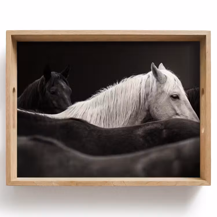 Dienblad - Paarden - Zwart - Wit - Kudde — 1