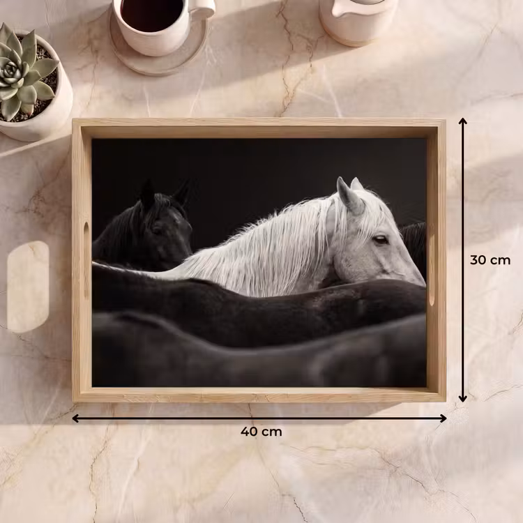 Dienblad - Paarden - Zwart - Wit - Kudde — 7