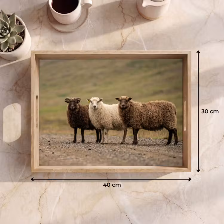Dienblad - Schapen - Bruin - Wit - Grindpad — 7