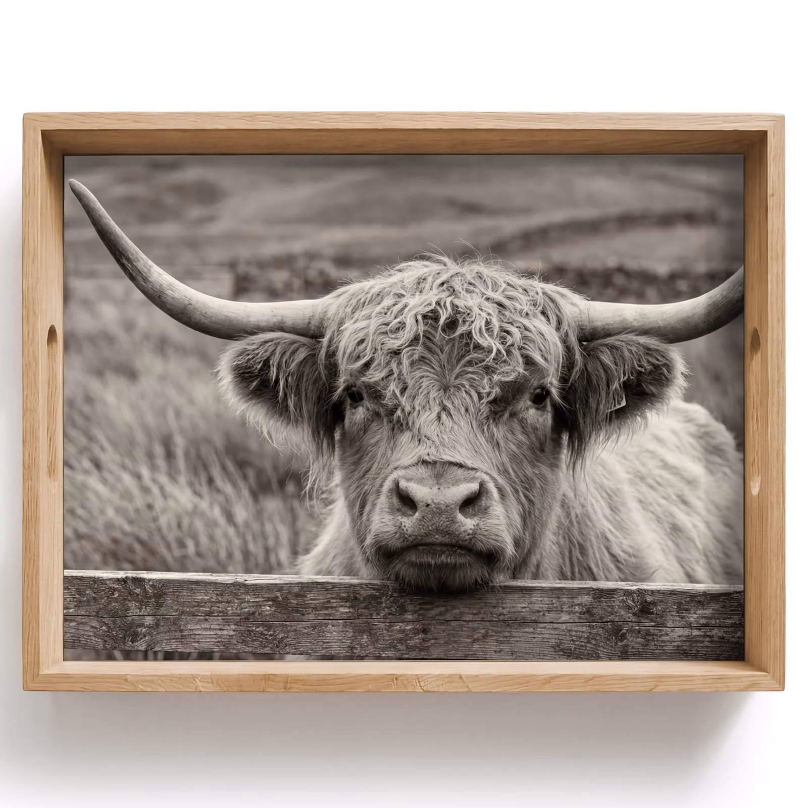 Dienblad - Schotse hooglander - Zwart - Wit - Hout — 1