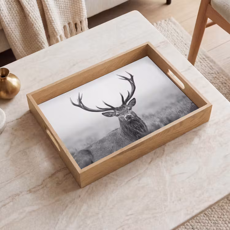 Dienblad - Hert - Mistig - Zwart - Wit — 2
