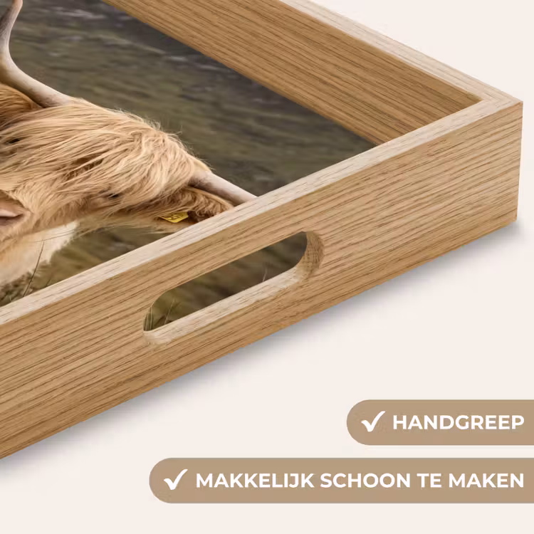 Dienblad - Schotse hooglander - Bergen - Grasveld — 8