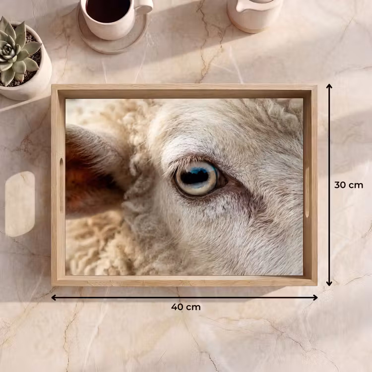 Dienblad - Schaap - Oog - Wit — 7