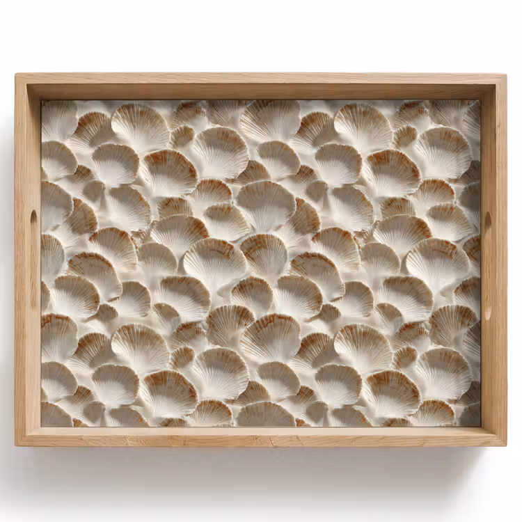 Dienblad - Schelpen - Waaiervorm - Wit — 1
