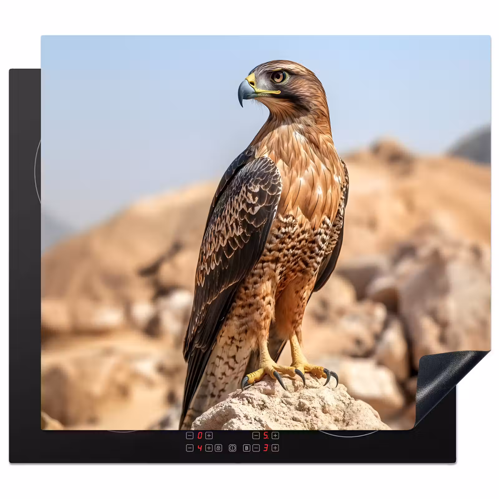 Inductie beschermer - Valk - Vogel - Rots - Macht — 1