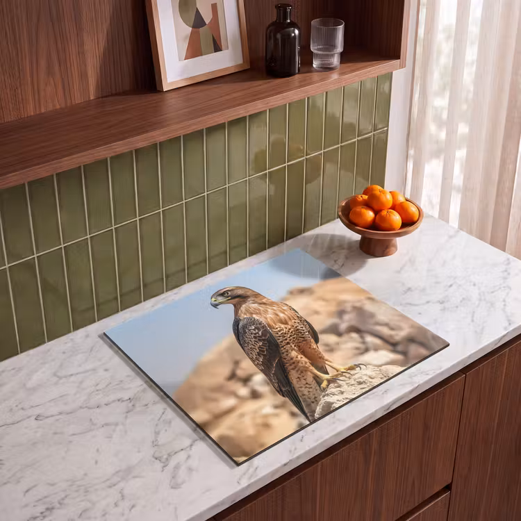 Inductie beschermer - Valk - Vogel - Rots - Macht — 4