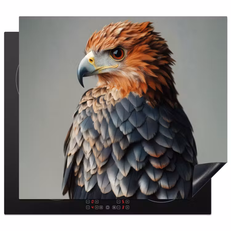 Inductie beschermer - Vogel - Realistisch - Veren - Bruin — 1