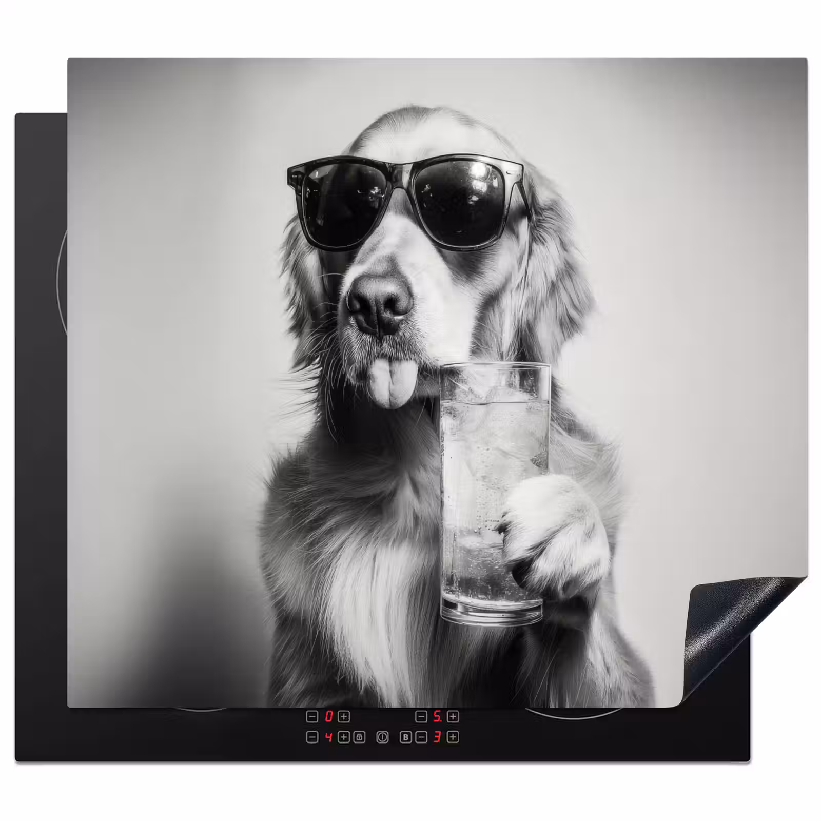 Inductie beschermer - Golden retriever - Hond - Zonnebril - Gkas — 1