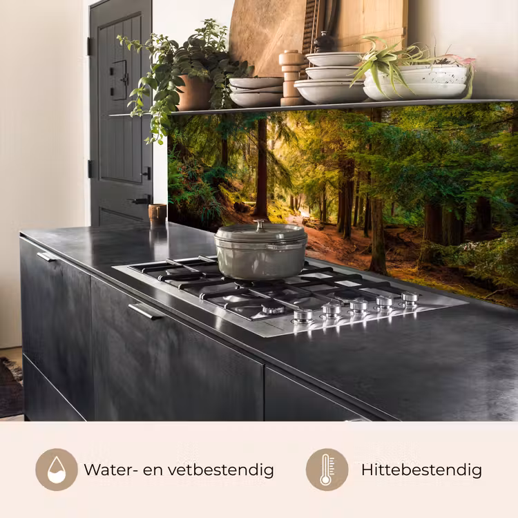 Keuken achterwand - Bos - Pad - Bomen - Groen - Zon - Natuur — 5