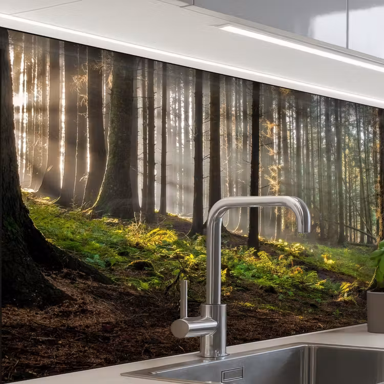 Keuken achterwand - Zon - Takken - Bomen - Bos - Natuur — 3