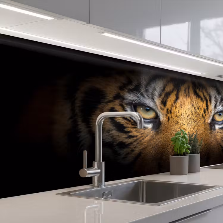Keuken achterwand - Tijger - Zwart - Dier — 2