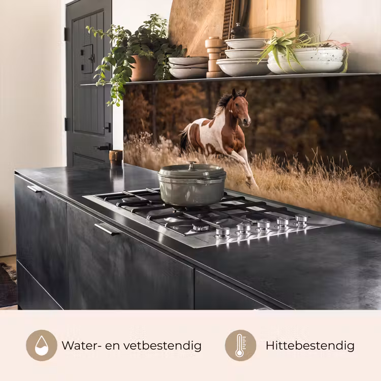 Keuken achterwand - Paard - Bruin - Gras — 5