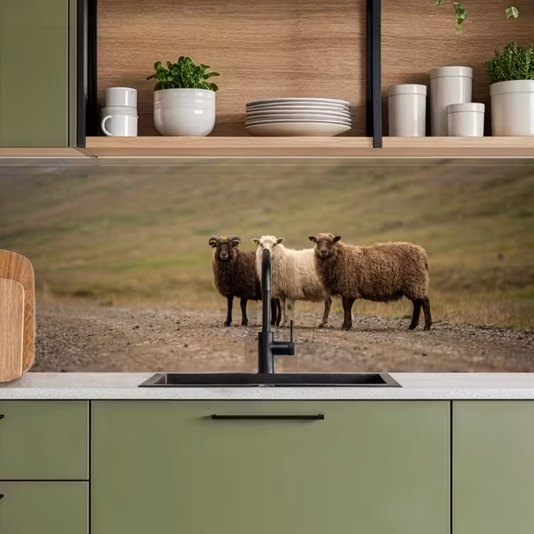 Keuken achterwand - Schapen - Bruin - Wit - Grindpad — 7