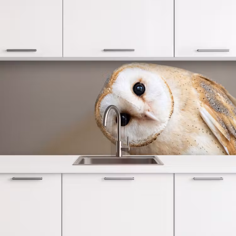 Keuken achterwand - Uil - Bruin - Wit — 4