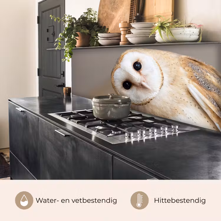 Keuken achterwand - Uil - Bruin - Wit — 5