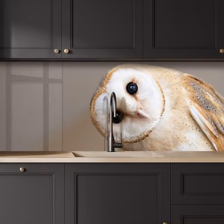 Keuken achterwand - Uil - Bruin - Wit — 6