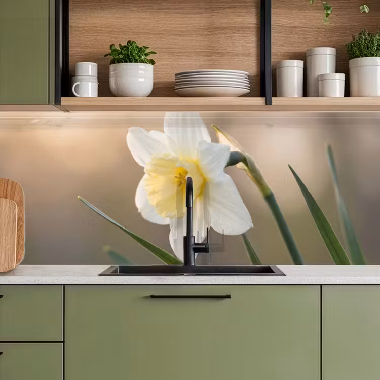 Keuken achterwand - Narcis - Bloem - Minimalistisch — 7