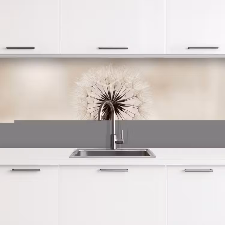 Keuken achterwand - Paardenbloem - Minimalistisch - Wit — 4