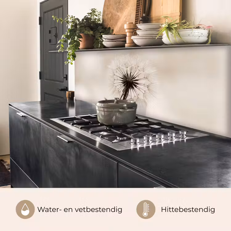 Keuken achterwand - Paardenbloem - Minimalistisch - Wit — 5
