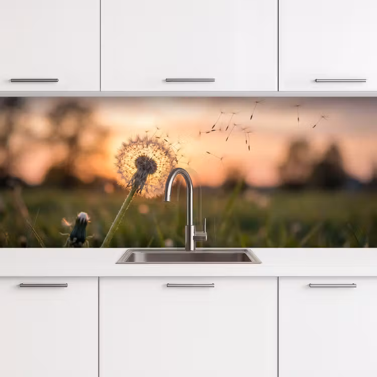 Keuken achterwand - Paardenbloem - Zonsondergang - Veld — 4