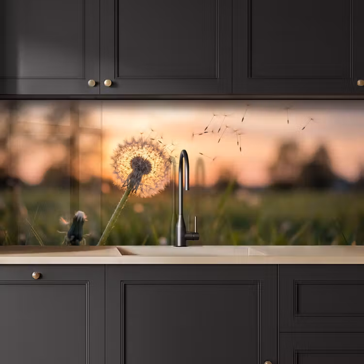 Keuken achterwand - Paardenbloem - Zonsondergang - Veld — 6