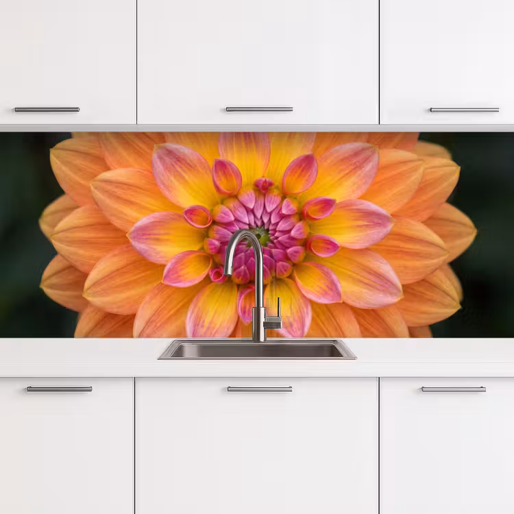 Keuken achterwand - Dahlia - Bloem - Oranje — 4