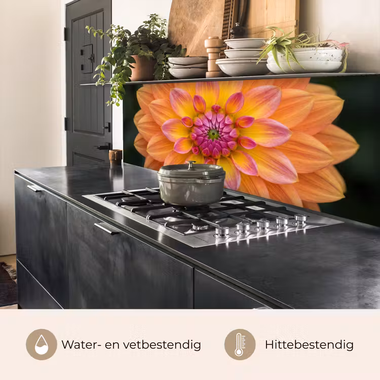 Keuken achterwand - Dahlia - Bloem - Oranje — 5