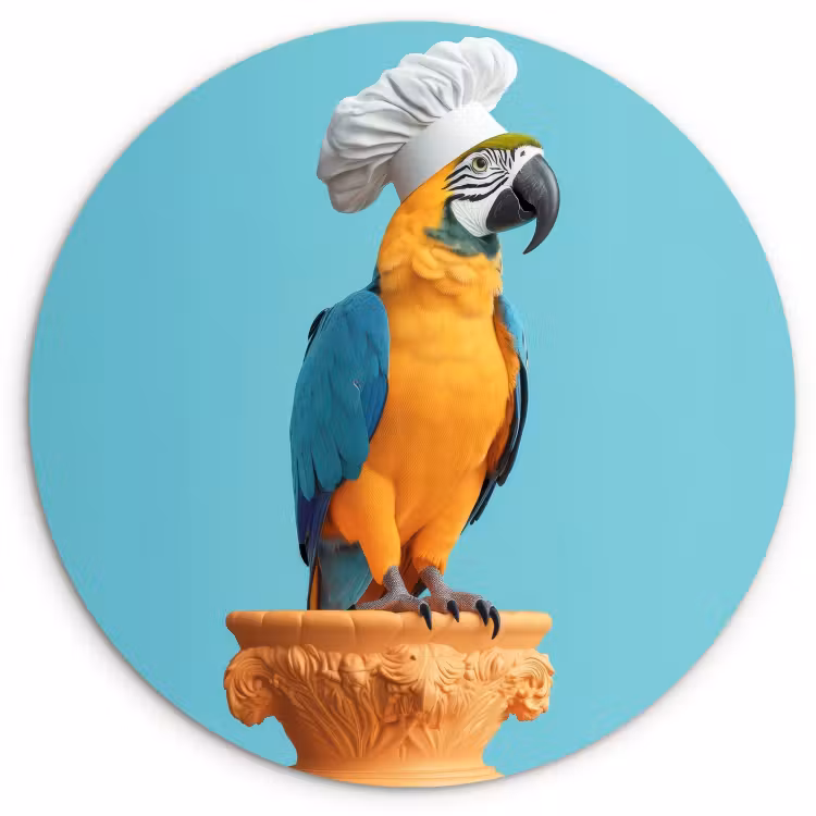 Muurcirkel - Papegaai - Koksmuts - Grappig - Vogel — 1