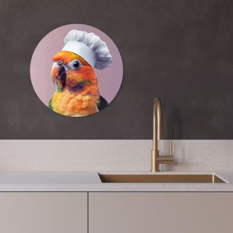 Muurcirkel - Papegaai - Koksmuts - Nieuwsgierig - Vogel — 2