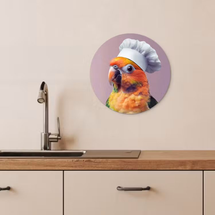 Muurcirkel - Papegaai - Koksmuts - Nieuwsgierig - Vogel — 4