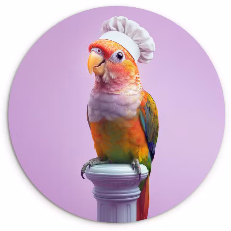 Muurcirkel - Papegaai - Koksmuts - Pilaar - Vogel — 1