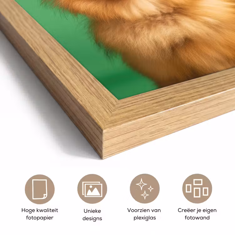 Poster met lijst - Hond - Zonnebril - Valentijn - Love — 6