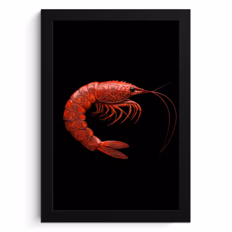 Poster met lijst - Garnaal - Rood - Dieren — 1
