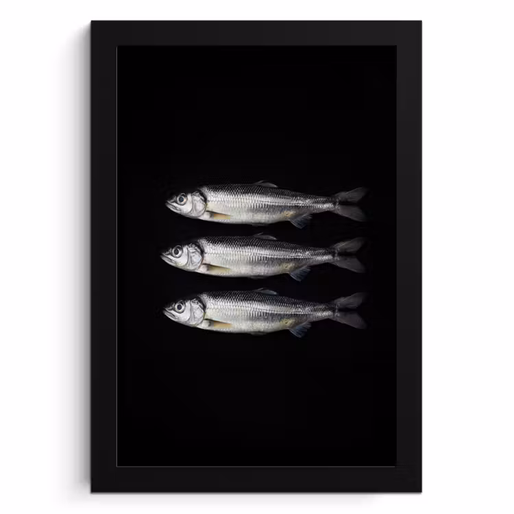 Poster met lijst - Haring - Vissen - Zwart — 1