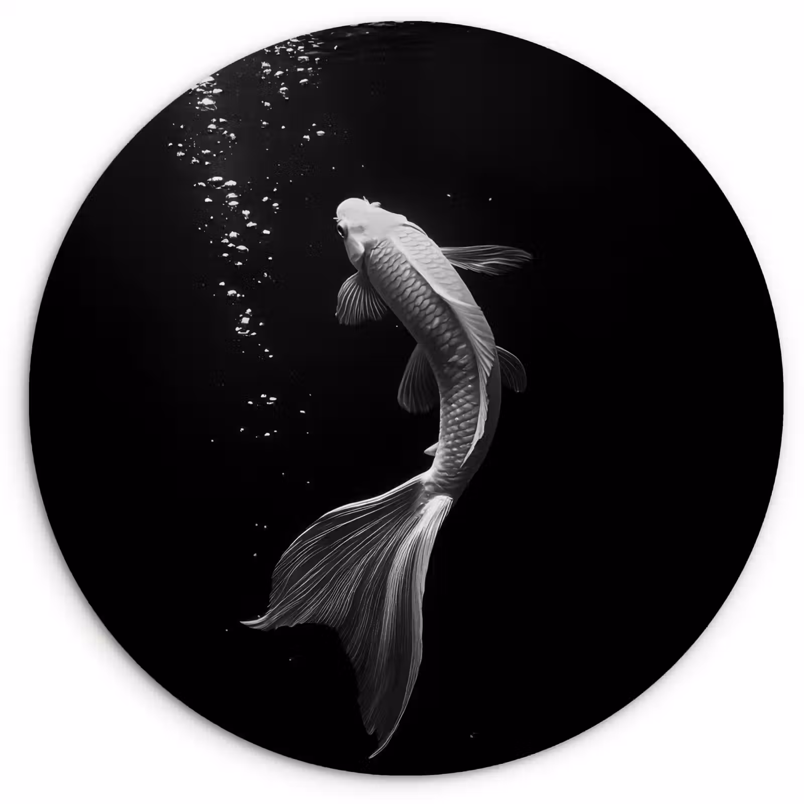 Muurcirkel - Koi - Vis - Wit - Zwart — 1
