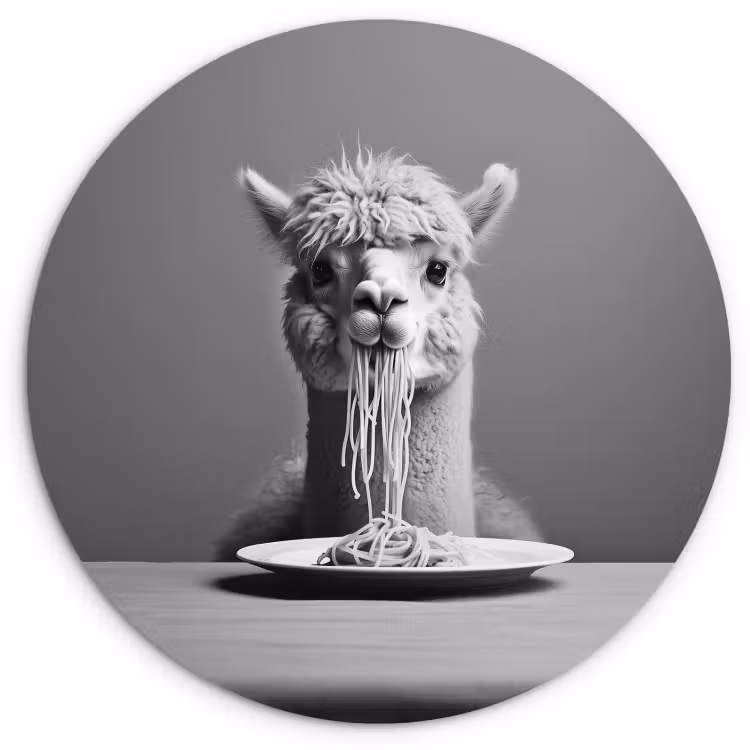Muurcirkel - Alpaca - Pasta - Zwart - Wit - Grappig - Dieren — 3