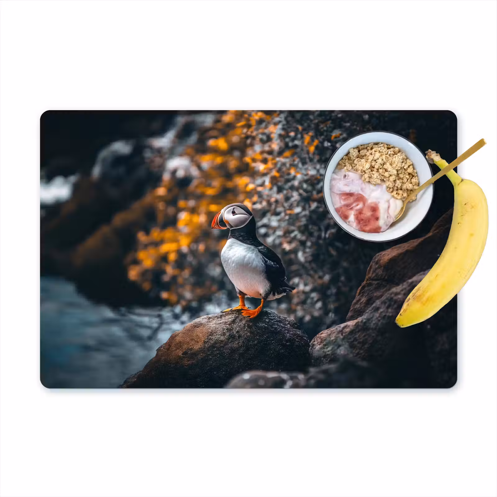 Placemat vinyl - Papegaai - Vogel - Rots - Wit — 1