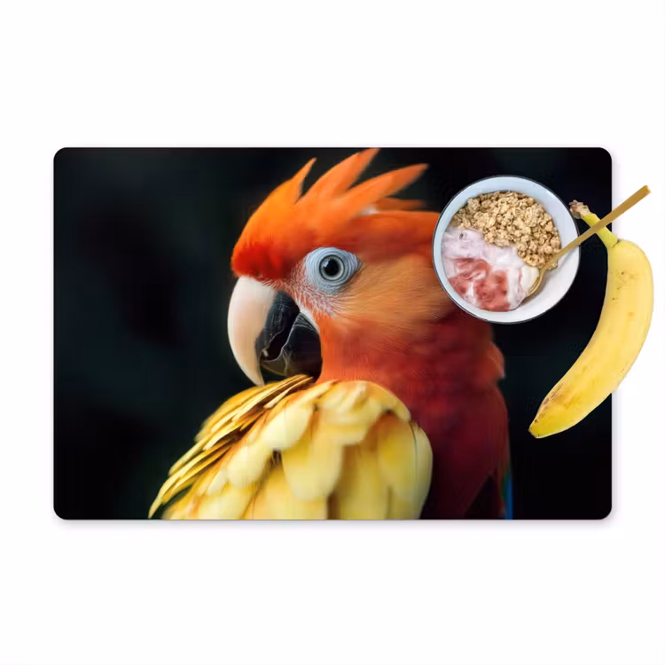 Placemat vinyl - Close-up - Papegaai - Veren - Oranje — 1