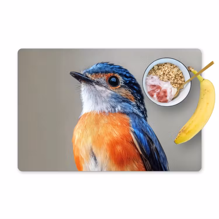 Placemat vinyl - Kleurrijk - Vogeltje - Veren - Blauw — 1
