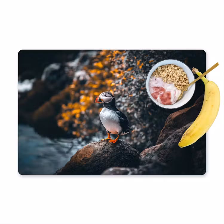 Placemat vinyl - Papegaai - Vogel - Rots - Wit — 1