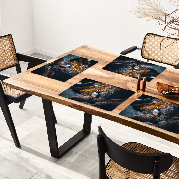 Placemat vinyl - Papegaai - Vogel - Rots - Wit — 4