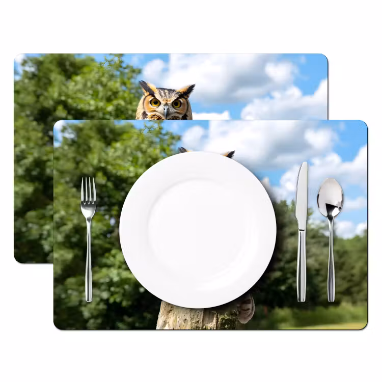 Placemat vinyl - Uil - Boomstronk - Bos - Lucht — 2