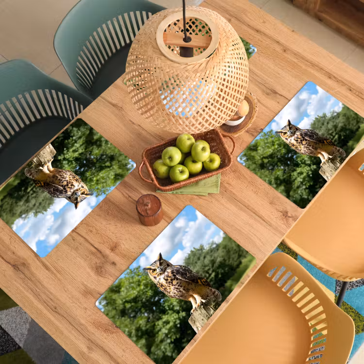 Placemat vinyl - Uil - Boomstronk - Bos - Lucht — 3
