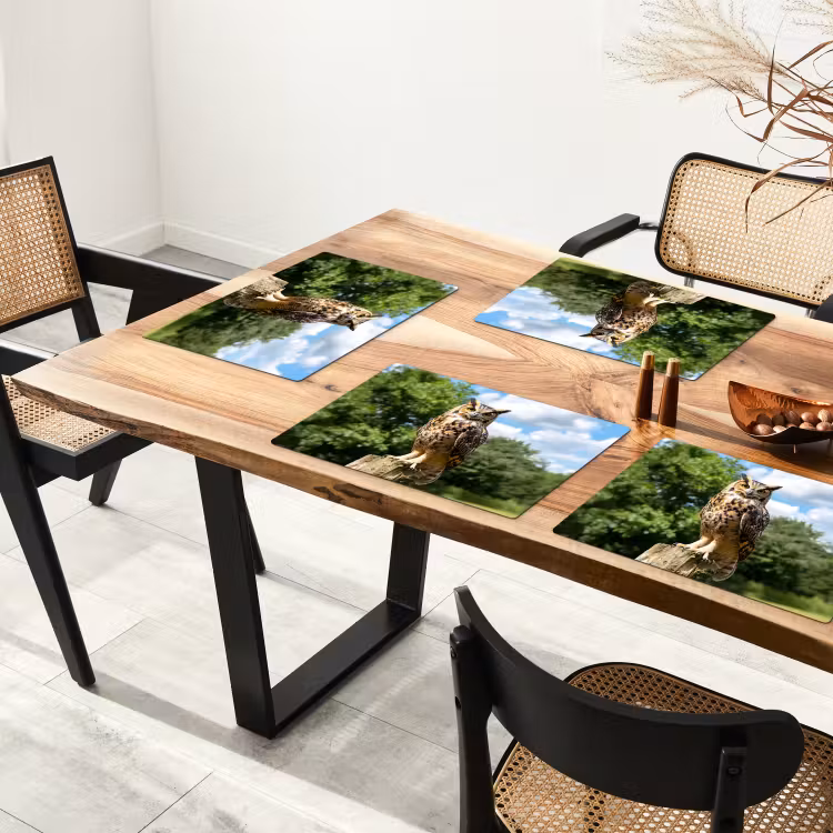 Placemat vinyl - Uil - Boomstronk - Bos - Lucht — 4