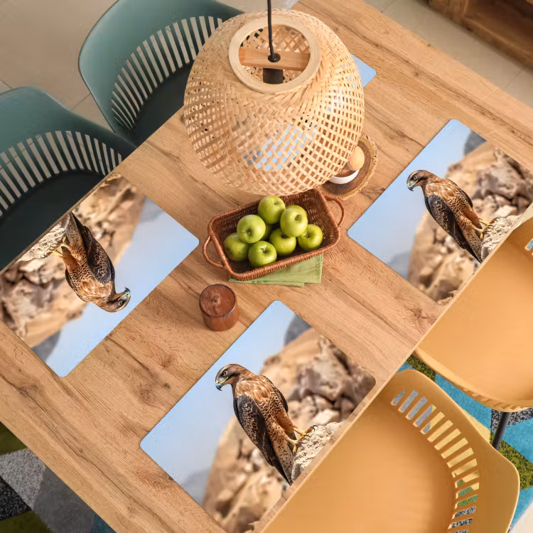 Placemat vinyl - Valk - Vogel - Rots - Macht — 3