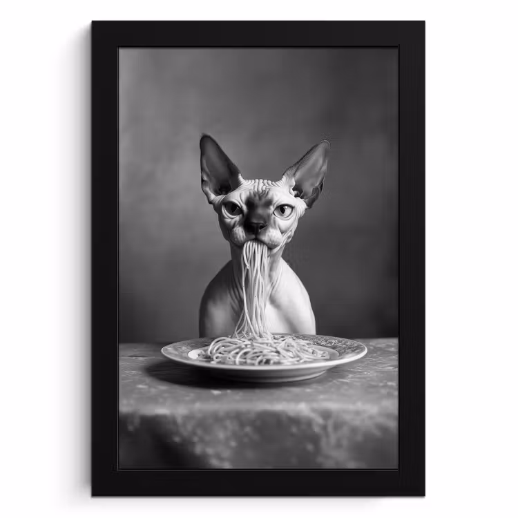Poster met lijst - Sphynx - Kat - Dieren - Humor - Spaghetti - Zwart Wit — 1