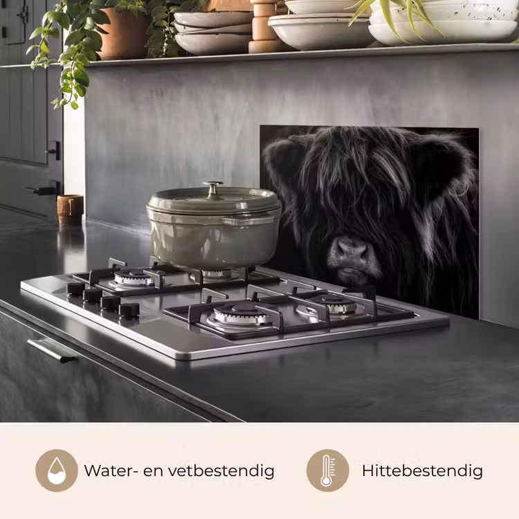 Spatscherm keuken - Verborgen Blik — 2