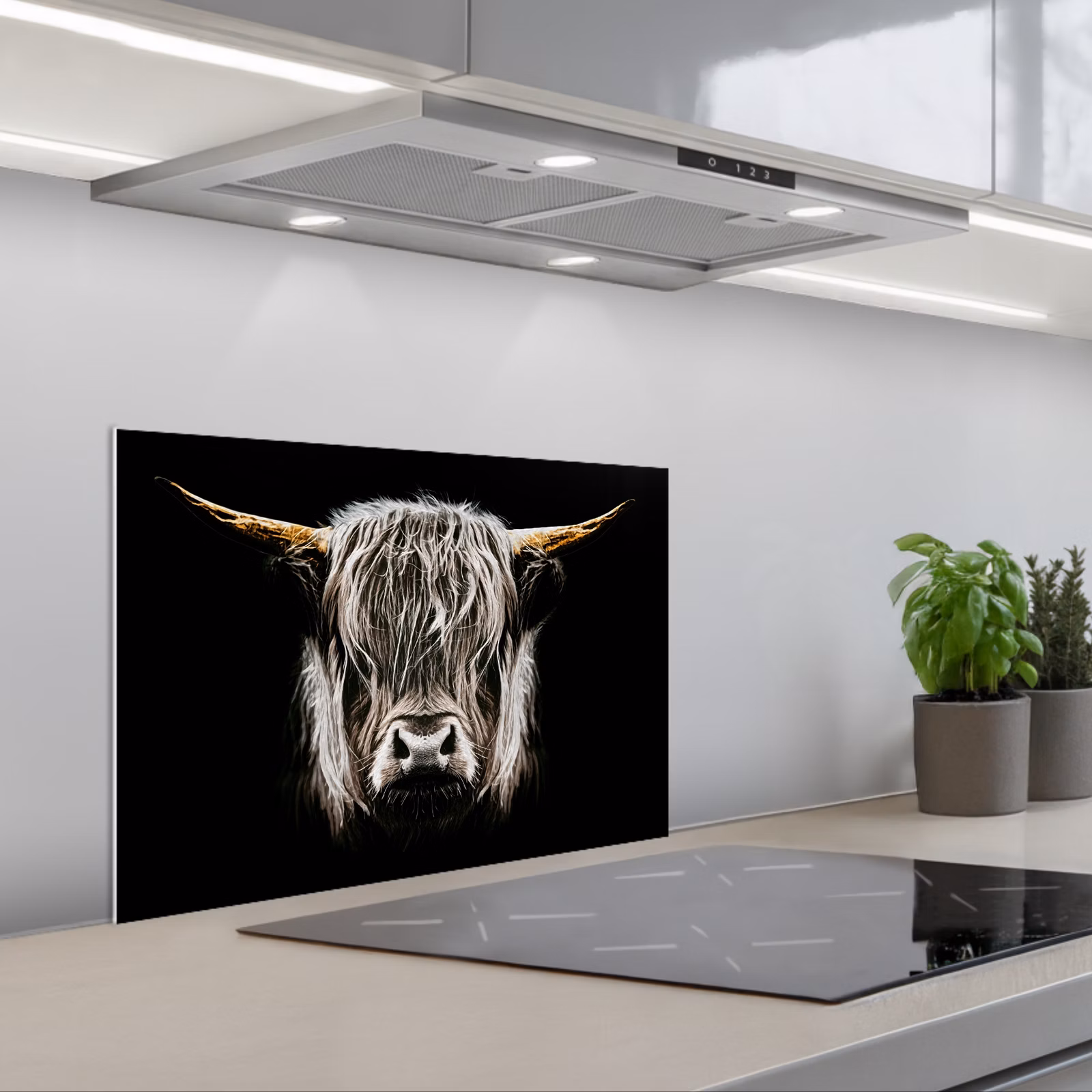 Spatscherm keuken - Symmetrie in de Schaduw — 1