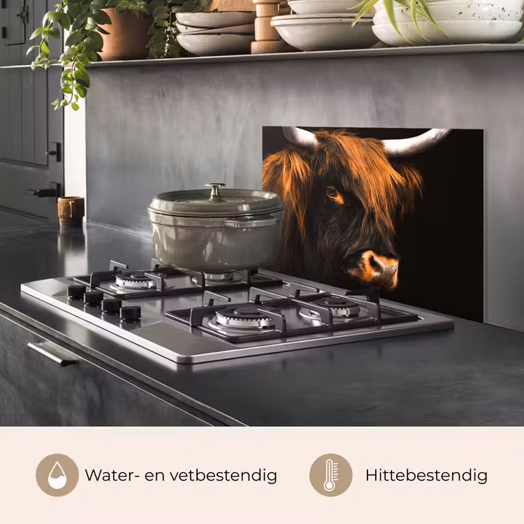 Spatscherm keuken - Mystieke Blik — 2